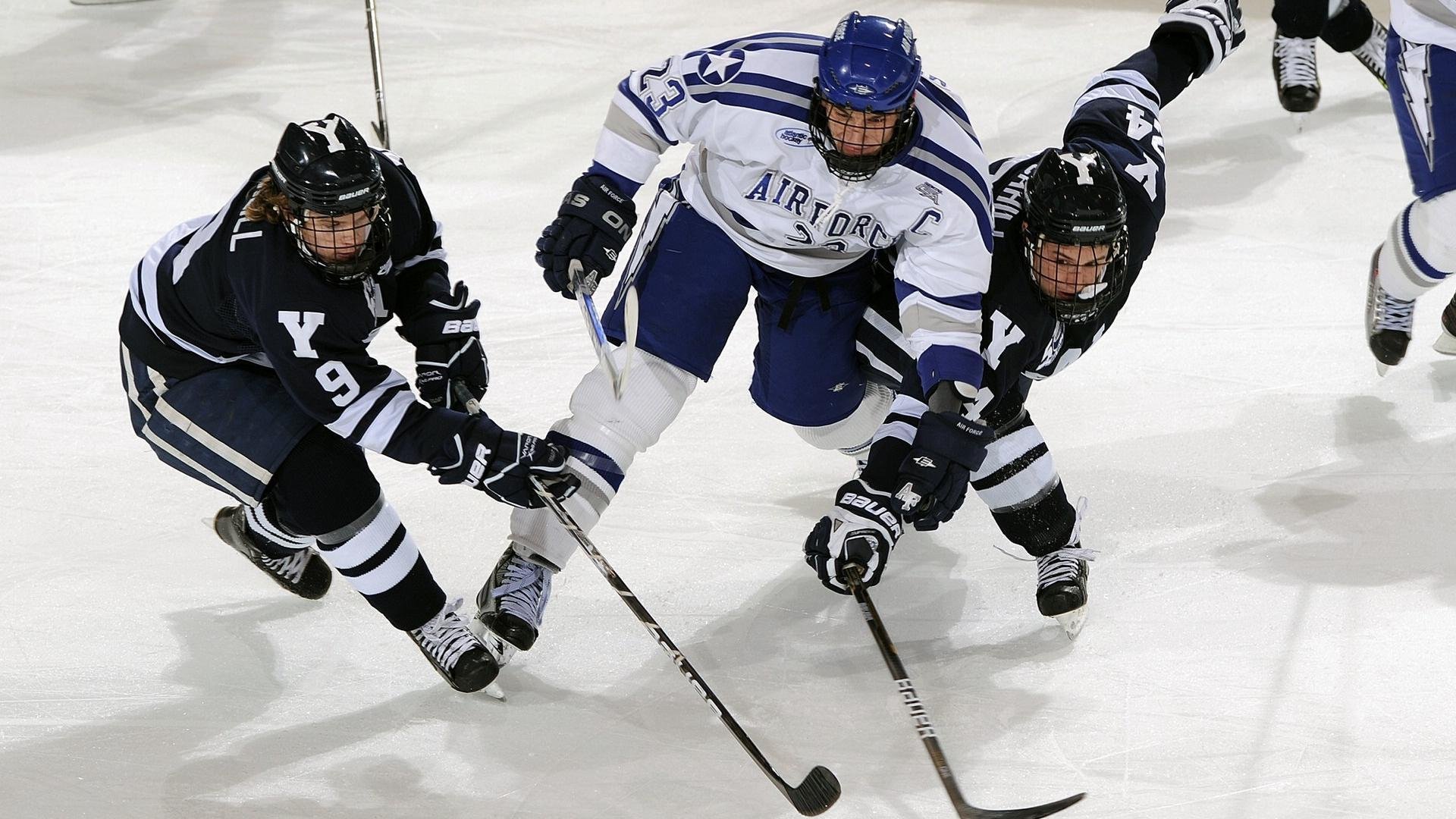 澳大利亚板球运动持续火热,观众人数创新高,澳大利亚板球队